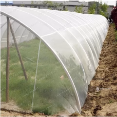 Screen netting covering a greenhouse