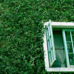 Ecoscreen fitted to a window (eco-friendly insect screen, RoHS insect screen)