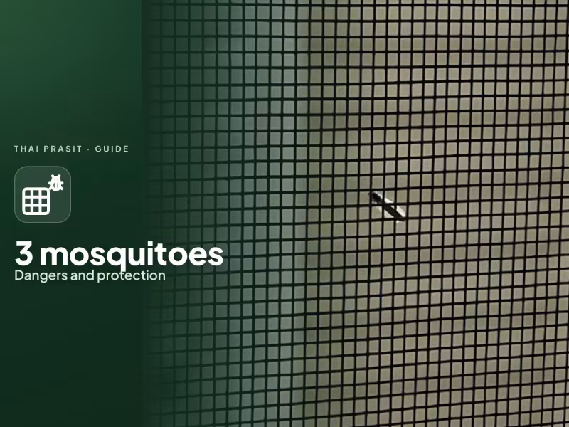 The dangers of mosquitoes